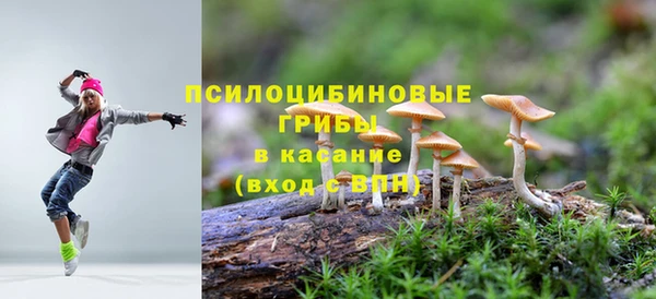 Альфа ПВП Алзамай