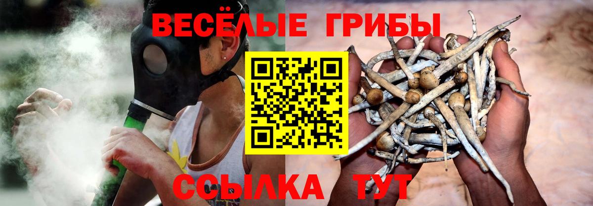 даркнет сайт  Ленинск-Кузнецкий  Галлюциногенные грибы ЛСД 