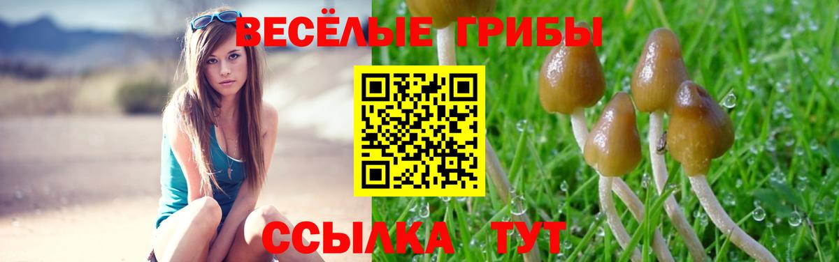 Галлюциногенные грибы прущие грибы Ленинск-Кузнецкий